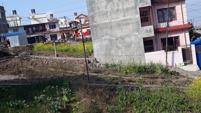 Land at Thaiba, Godavari (On the way to Godamchaur)