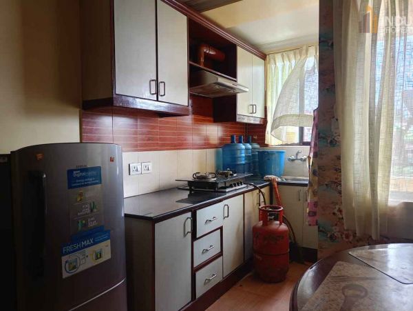 Downtown Apartment- Dhapakhel