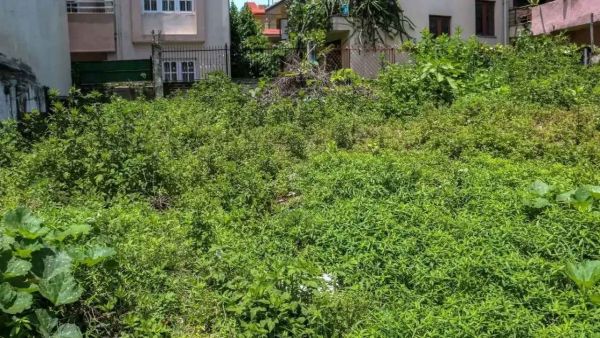 Land On Sale At Basundhara Land On Sale At Basundhara