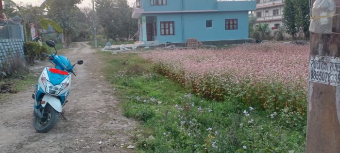 Land for Sale Near Valmiki School.