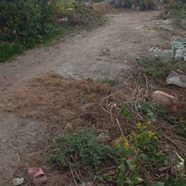 3.5 aana land for sale having 13 ft road at Lubhu, Lalitpur