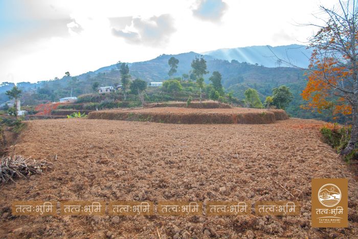 73 Ropani Land On Sale at KhariBhanjyang , Nuwakot
