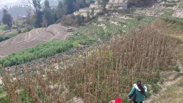 7 ANA JAGGA ON SALE IN BANEPA NALA