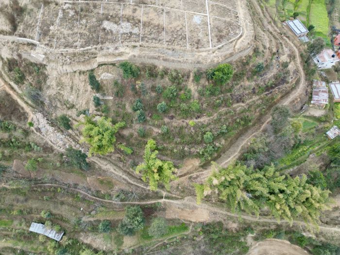 Plotting land on sale at Nangkhel