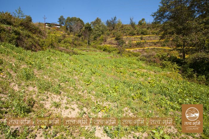 1 Ropani Land On Sale at Okharpauwa, Nuwakot