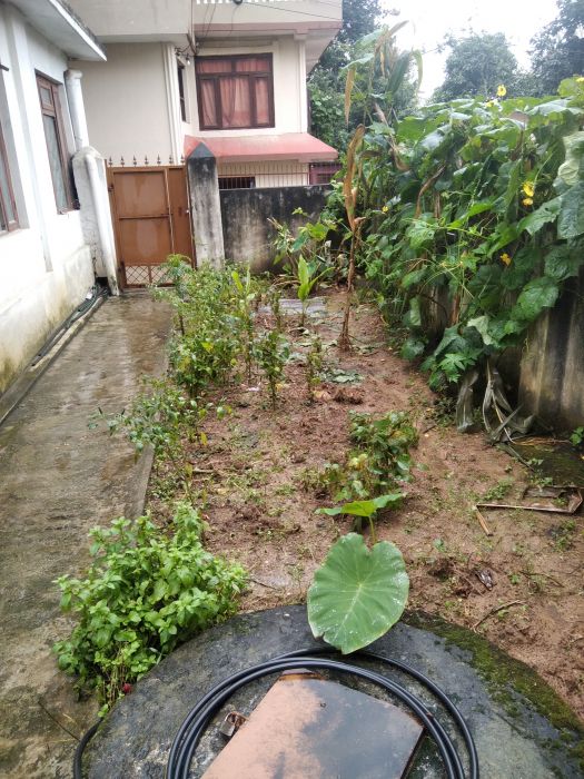 House neart checkpost only 100m from main road withnCheap price