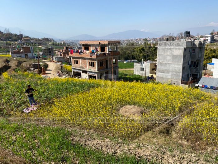 Land for Sale in Lamatar