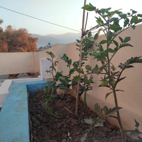 Hous for Sale in Birendranagar -8- Khajura , Surkhet