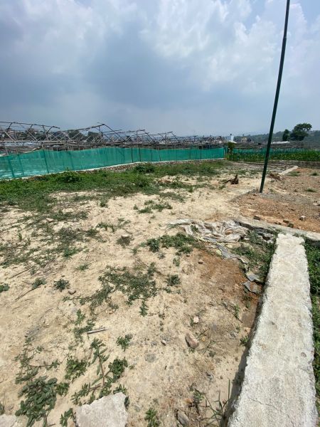 CHEAPEST LAND  IN HARISIDDHI PLOTTING