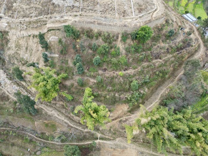 Plotting land on sale at Nangkhel