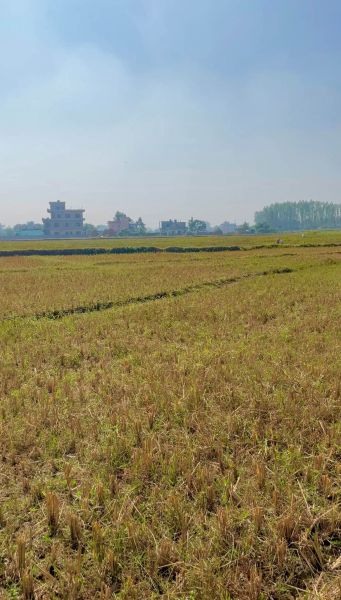 Residential Land Sale - Sub Metropolitan City - Dhangadhi