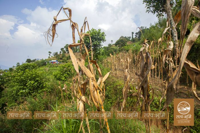 18 Ropani Highway Touched land Sale in 35 Kilo.