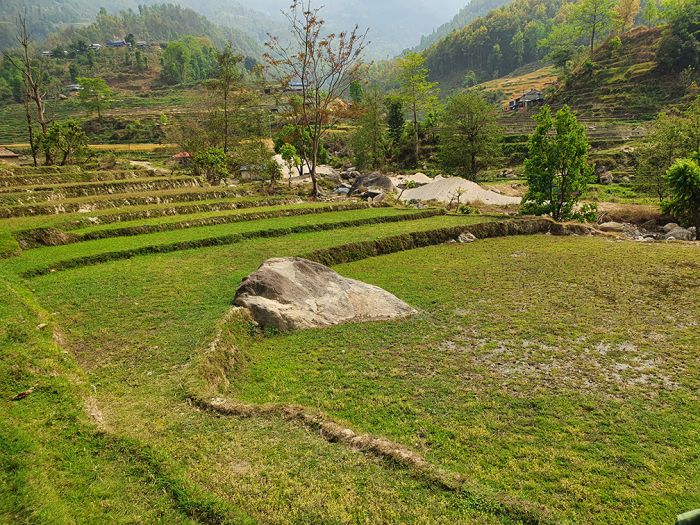 6 Ropani 8 Ana land on Sale at Sherabagar, Nuwakot