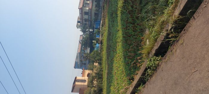 13 kattha land for sale in manigram, rupandehi 13 kattha land for sale in manigram, rupandehi