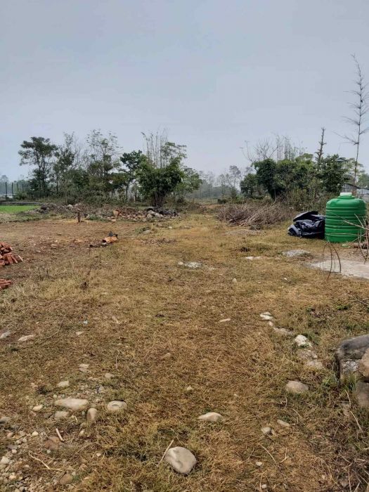 Land in Sale Daldale Laxmipur