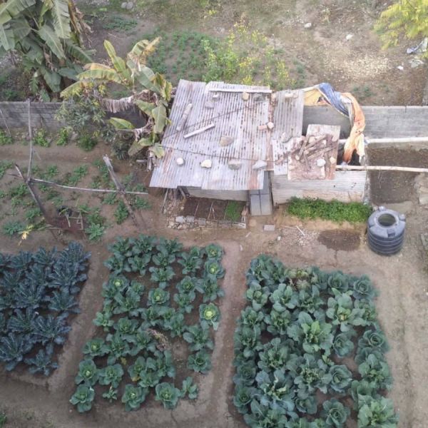 PRIME LAND FOR SALE IN DAMSIDE, POKHARA – DIRECT OWNER SALE----- ?????–??, ??????????? ?????? ????? ???????? ----