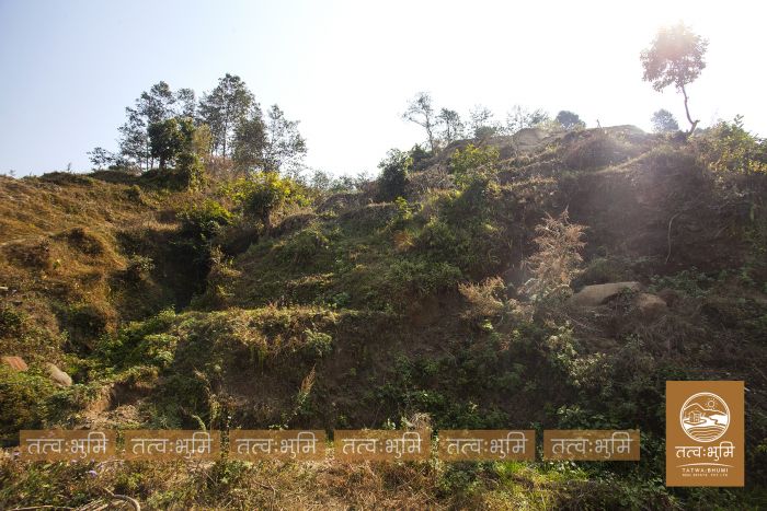 10 Ropani land in Matragaun, Nuwakot on Sale