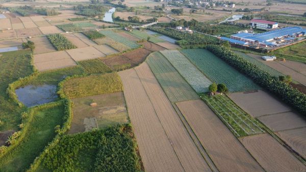 Commercial Land for Sale in Ratnanagar, Chitwan - Prime Investment Opportunity