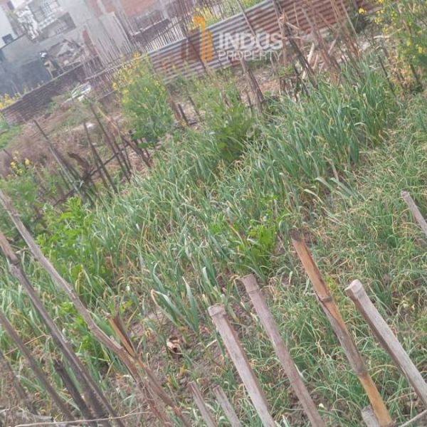 4 aana 3 paisa Land on sale at 20 ft road in Lubhu, Lalitpur