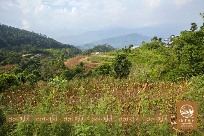 18 Ropani Highway Touched land Sale in 35 Kilo.