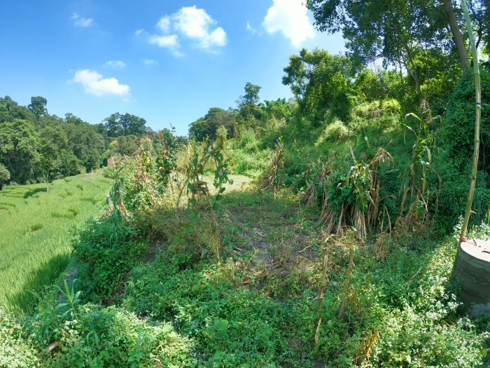 1 Ropani Land On Sale In Bugmati, Lalitpur