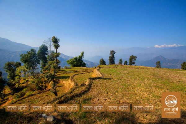 22 Ropani land for sale in Narayanthan - Nuwakot. 22 Ropani land for sale in Narayanthan - Nuwakot.