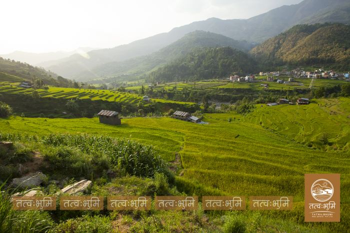 6 Ropani Land On Sale at Thaprek, Nuwakot