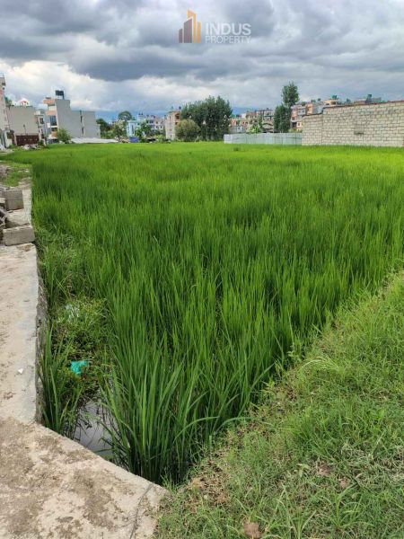 Semi-Commercial Land on Sale at Tikathli,lalitpur Semi-Commercial Land on Sale at Tikathli,lalitpur