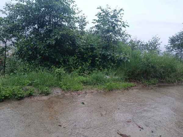 Land on Sale in Budhanilkantha Bisnu Height
