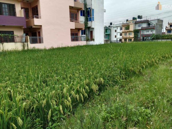 Land On Sale at Lubhu, Lalitpur