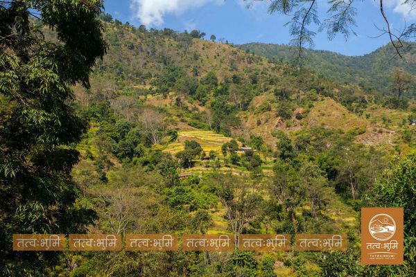 16 Ropani land for Sale At Kalleri Nuwakot. 16 Ropani land for Sale At Kalleri Nuwakot.