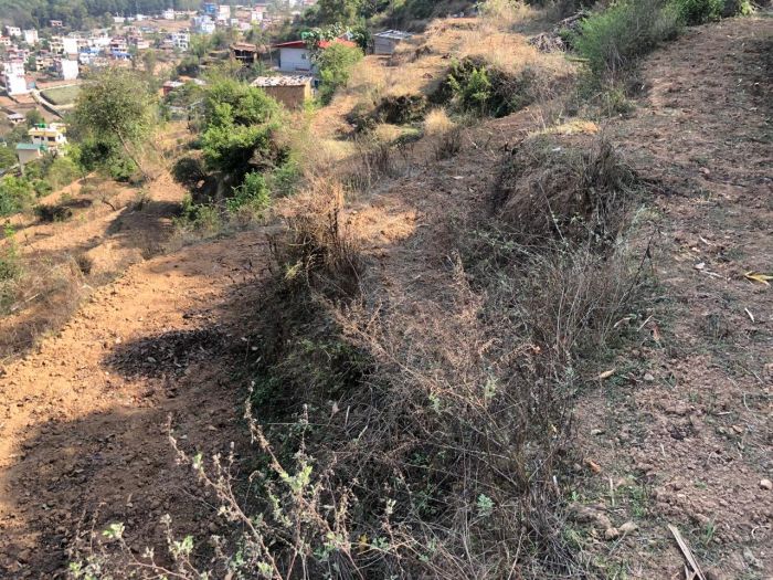 22 aana Commercial Land For Sale - Very Suitable for Resort | Homestay | Restaurants at Kritipur, Machhe Gaun