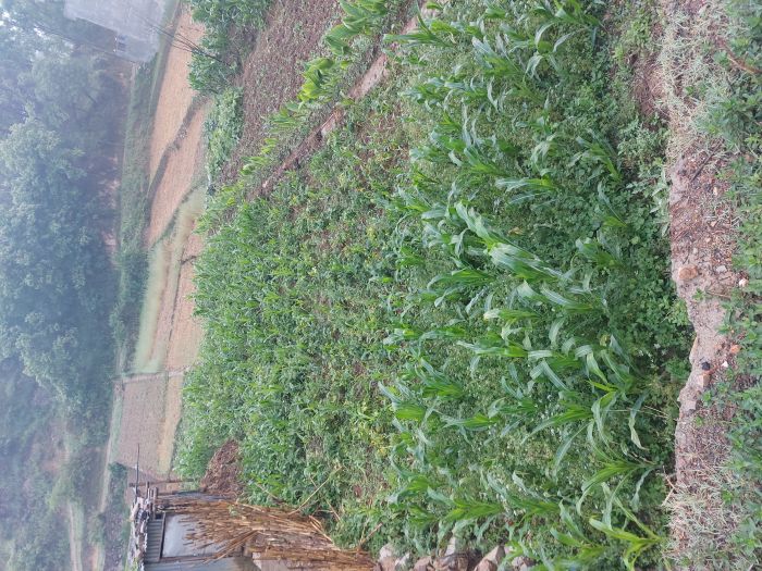 Chepest land for sale on mainroad 