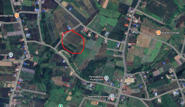 Residential Land for Sale in Ratnanagar 10, Chitwan