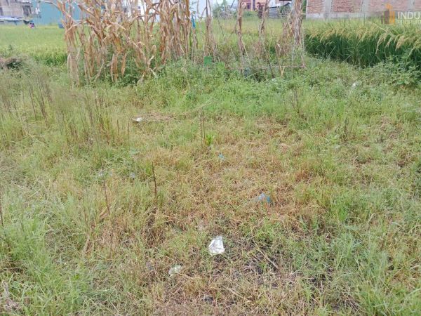 Land On Sale at Sanagau, lalitpur