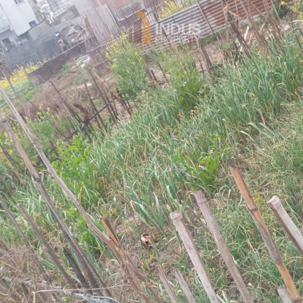 4 aana 3 paisa Land on sale at 20 ft road in Lubhu, Lalitpur