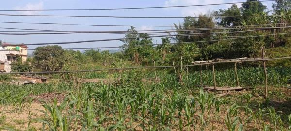 HOUSE FOR SALE IN JAMUNE, TANAHUN.