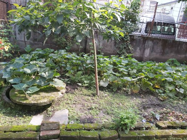 Bunglow Sale at Nayabazar Khusibu