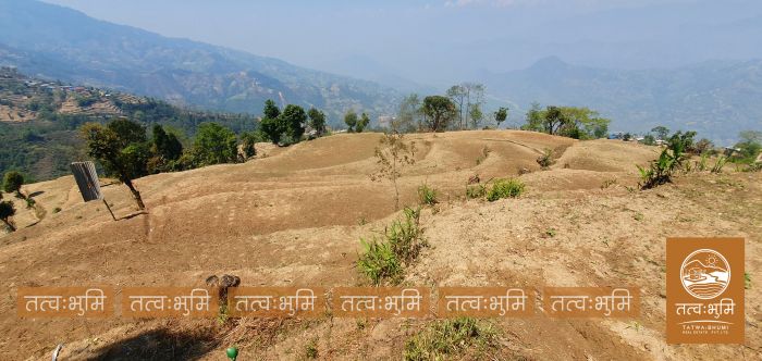 9 Ropani Land On Sale at KhariBhanjyang , Nuwakot