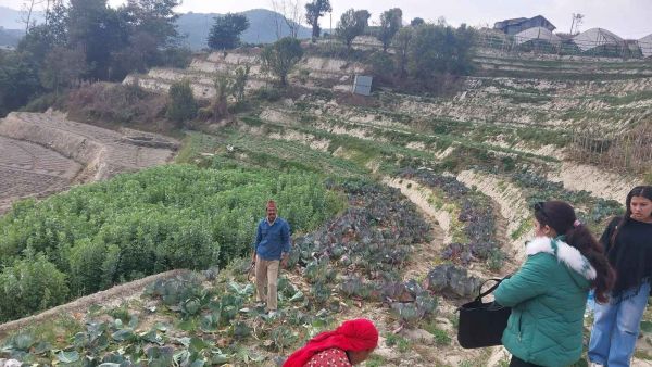 7 ANA JAGGA ON SALE IN BANEPA NALA