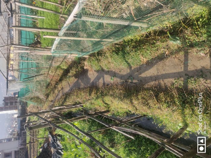 Land sale in Balambu Kathmandu