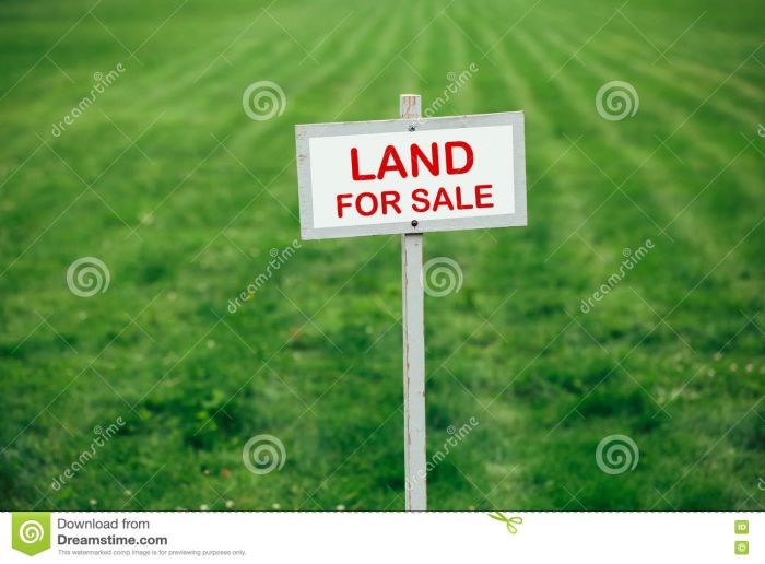 LAND ON SALE IN BIRATNAGAR -08 MADHUMARA ( PRICE : 410000 DHUR)