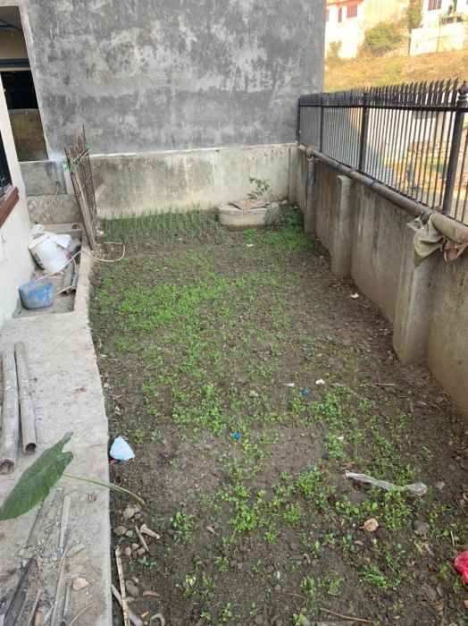 4.5 Aanama baneko 3.5 talla Ghar Goldhunga LolangPhant on Rs 2.9 Crore