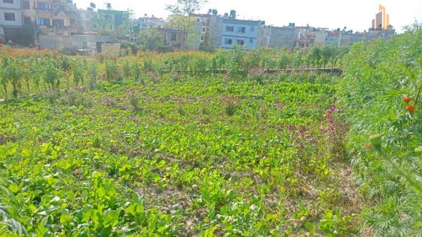 Land on sale-Balkot Bhaktapur