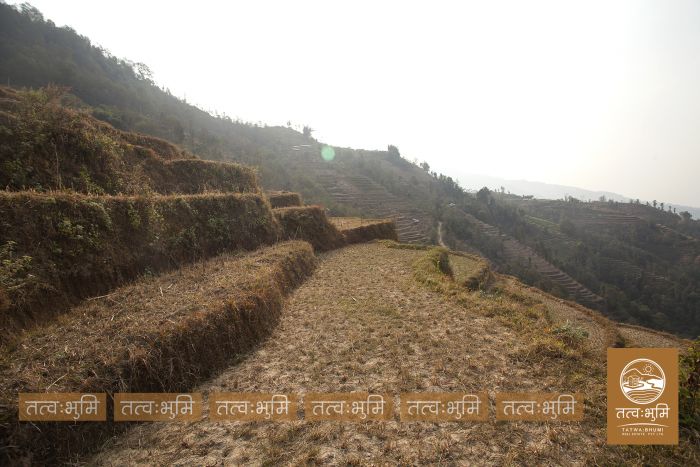 6 Ropani land on sale at Narayanthan - Nuwakot