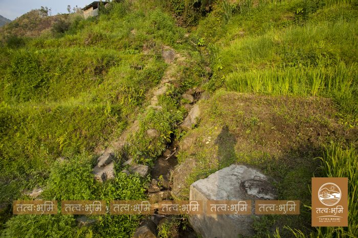 6 Ropani Land On Sale at Thaprek, Nuwakot