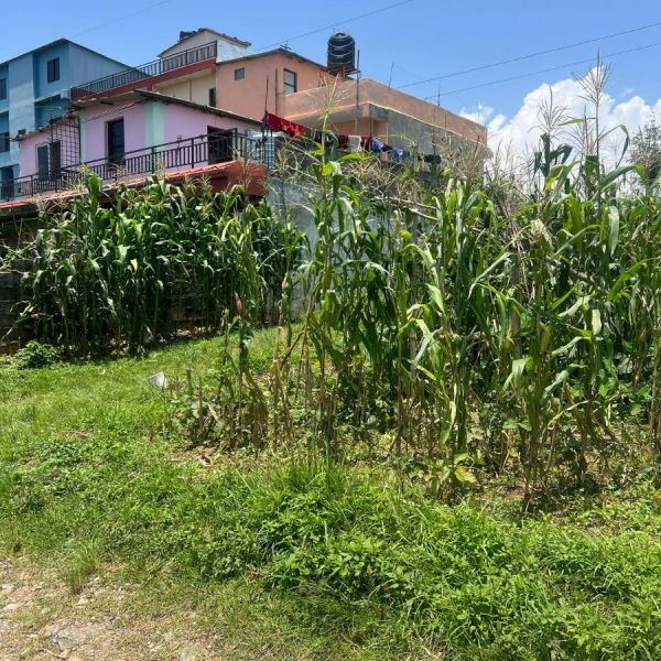 3.3 AANA JAGGA BIKRI CHHA — SISUWA, POKHARA
