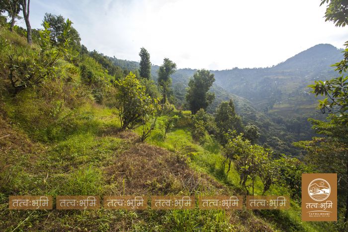 3 Ropani land for sale Katheri, Nuwakot.