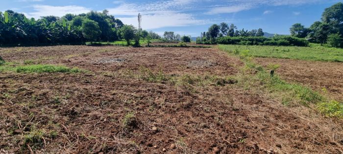 LAND FOR SALE COMMERCIAL ,AGRICULTURAL,RESIDENTAL OR PLOTTING PURPOSE