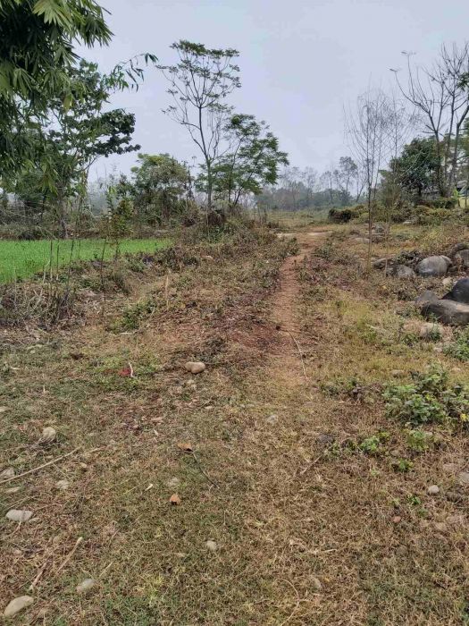 Land in Sale Daldale Laxmipur